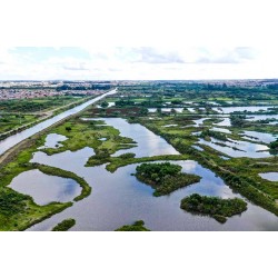 Com amplo programa de reflorestamento, Rio Iguaçu tem maior volume de água em 12 anos